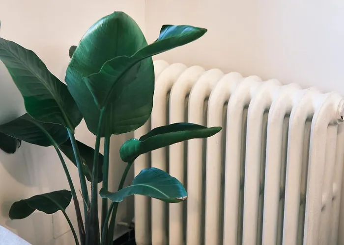 Carolina Trastevere House Apartament *